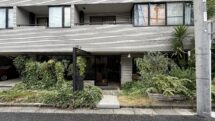 店の前に溢れていた緑が